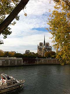 the backside of the Cathedral of Notre Dame