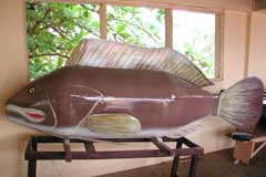 Paa Willie's coffin in the form of a fish