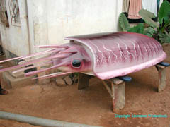 Paa Joe's coffin in the form of a squid