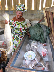 The fish market in the port of Cotonou