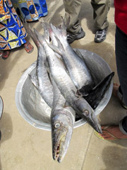 The fish market in the port of Cotonou