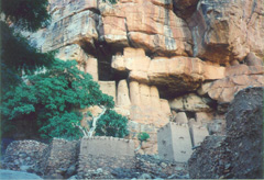 A Dogon village