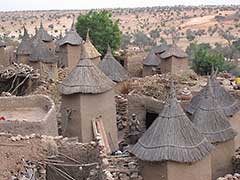 A Dogon village