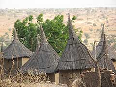 A Dogon village