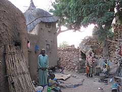 A Dogon household