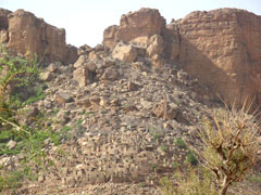 A Dogon village