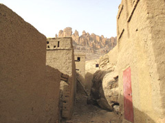 A Dogon village