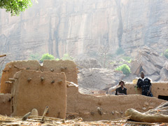 A Dogon village