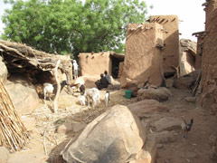 A Dogon village