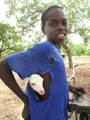 A young Fulani boy : how does one transport a lamb on a bicycle ?