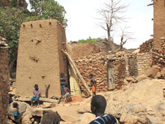 A Dogon village