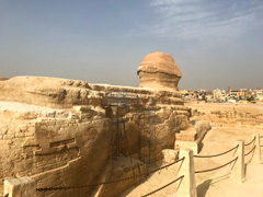 Memphis：the Sphinx：from the back side of the Sphinx the city of Giza can be seen very close by.