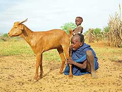 The Hamer ( Hamar) People of the Omo Valley