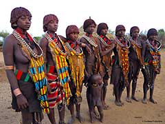The Hamer ( Hamar) People of the Omo Valley