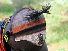 The Hamer ( Hamar) People of the Omo Valley