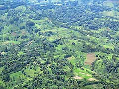 Ethiopia is often much greener than most people imagine : view from the air.