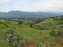 The Omo River Valley