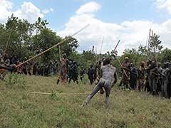 Surma stick-duelling, stickfighting : Donga