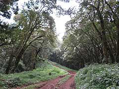 The road to the Omo Valley