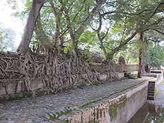 Gondar ( UNESCO World Heritage Site ) 