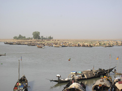 The bank of the Niger River in Mopti