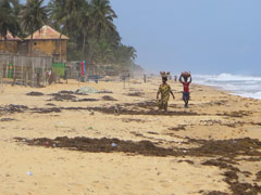 the beach : near to Abidjan