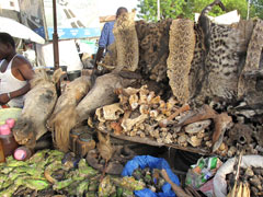 A market in Bamako : "products" for use in traditional medicine as well as by "sorcerers".