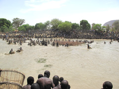 Bandiagara, Mali : Dogon Fish Festival or Ritual