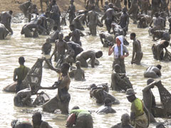 Bandiagara, Mali : Dogon Fish Festival or Ritual