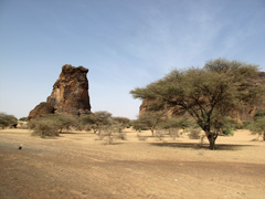 Mauritania