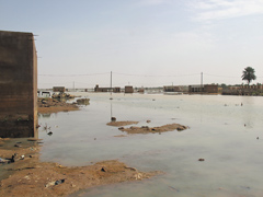 In spite of being in the Sahara, flooding crises do exist !