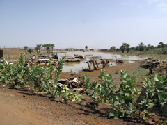 In spite of being in the Sahara, flooding crises do exist !