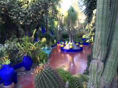 Majorelle Garden