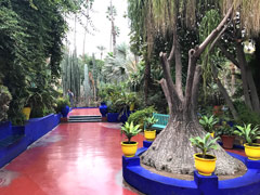 Majorelle Garden