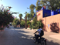 Majorelle Garden