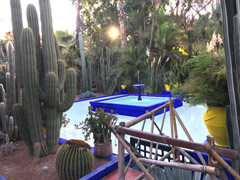 Majorelle Garden