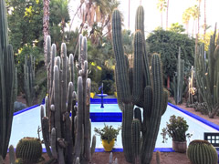 Majorelle Garden