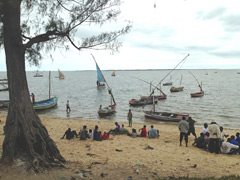 The Mozambique Channel