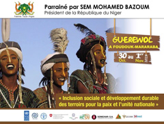 We were very proud to learn that the government of Niger chose our photo for the promotional posters for the Guéréwol. Of course we were happy to give them permission.