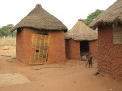 A Hausa village