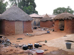 A Hausa village