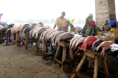 a fish market in Lagos