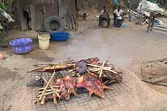 This big rodent is called a Grass Cutter, and is a very popular delicacy all over West Africa.