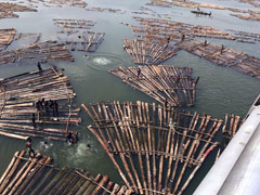 Makoko youths like to play, swim and fish from these floating rafts of the harvested timber that flow down from upstream. 