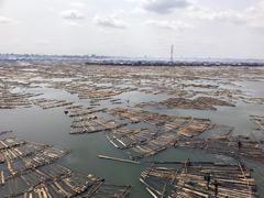 Makoko youths like to play, swim and fish from these floating rafts of the harvested timber that flow down from upstream. 