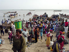 The fishermen in Dakar generally return with their catch in the evening : the Serer people.