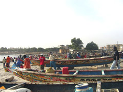 The fishermen in Dakar generally return with their catch in the evening : the Serer people.