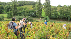 Filming the harvest