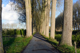 Approximately 11 kilometers from Bruges