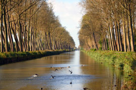 Approximately 11 kilometers from Bruges